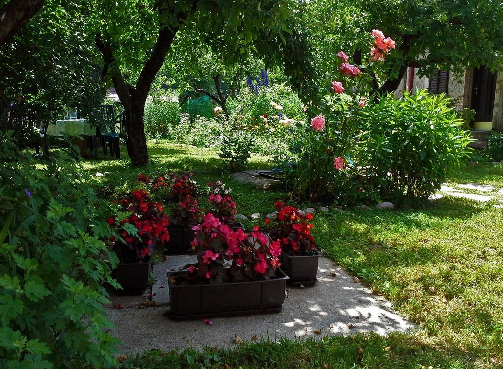 Hotel La Vecchia Casa Cetinje Exterior foto